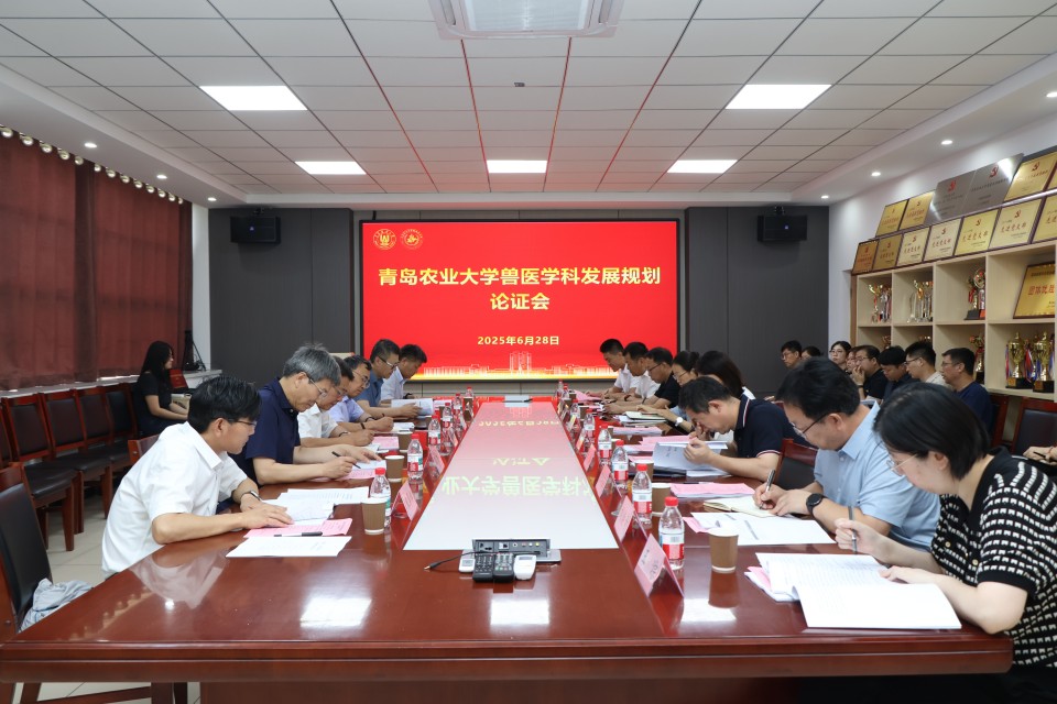 港澳管家婆论坛手机论坛
