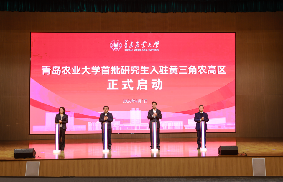 港澳管家婆论坛手机论坛