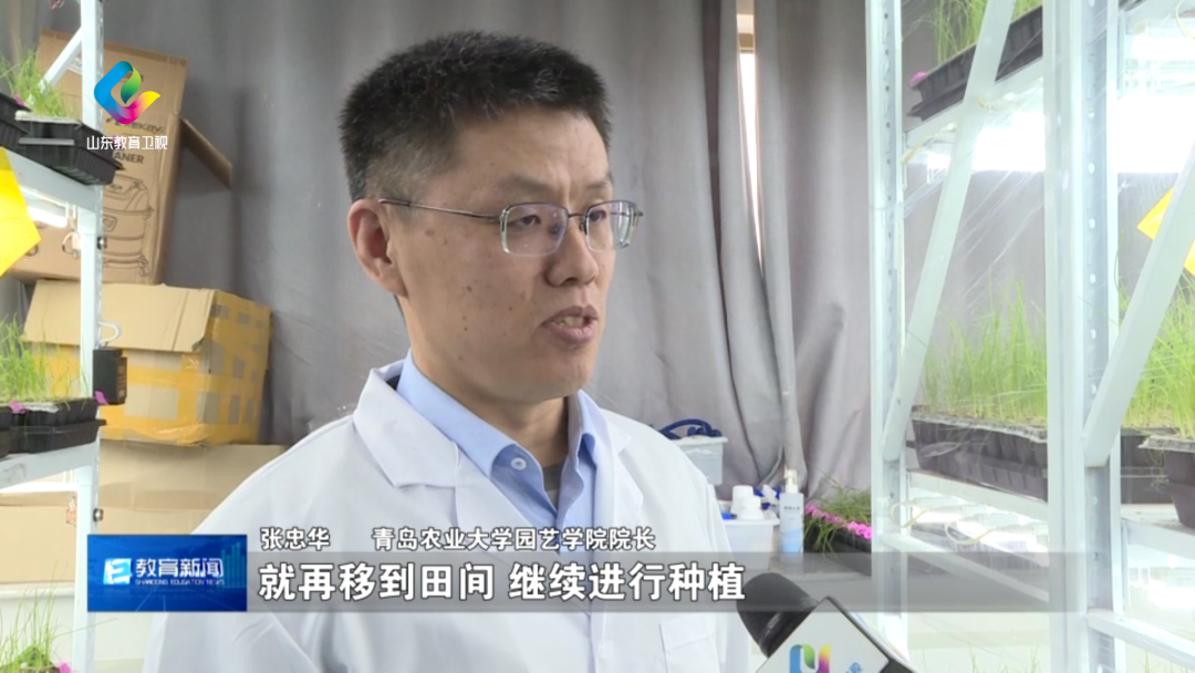 港澳管家婆论坛手机论坛