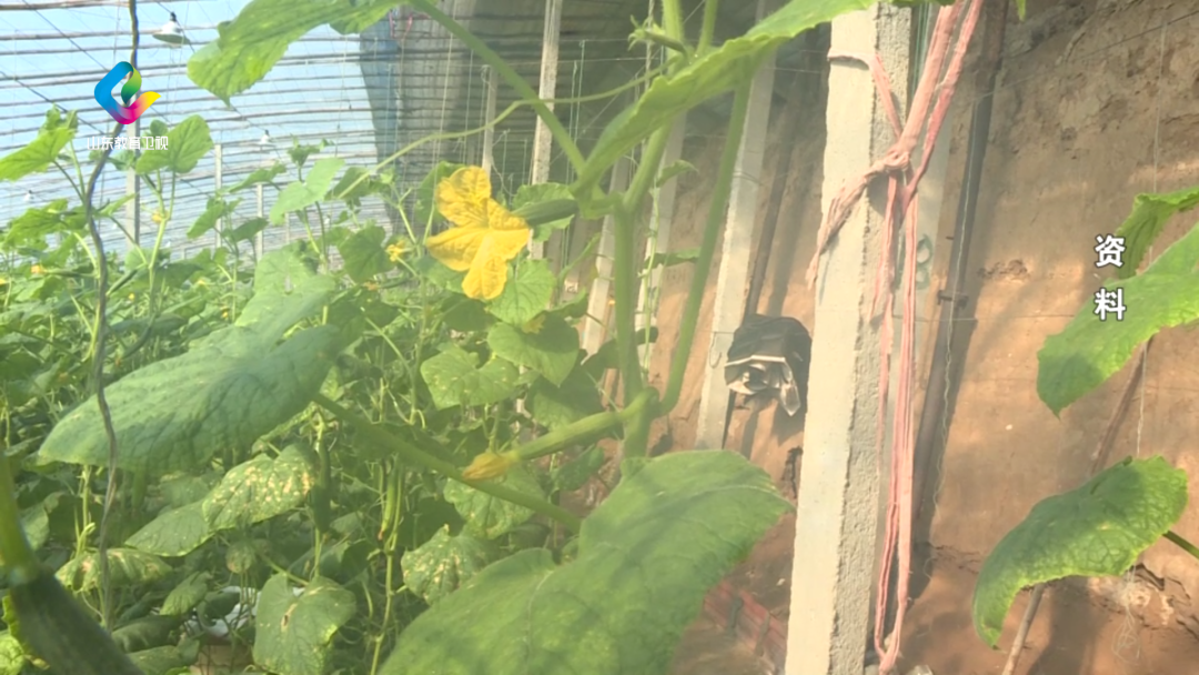 港澳管家婆论坛手机论坛