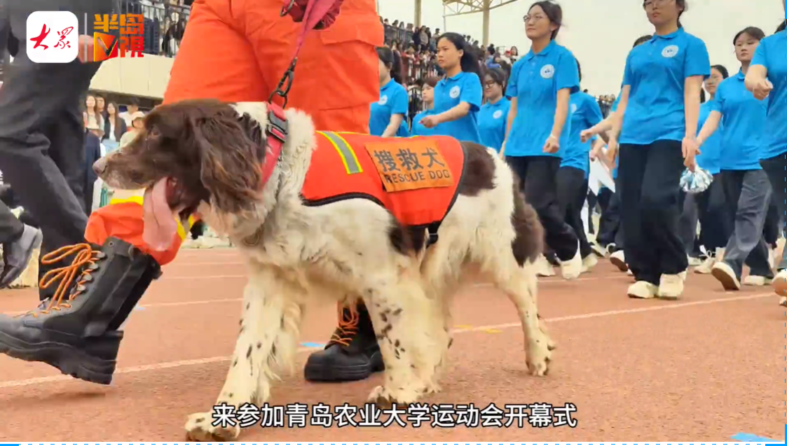 港澳管家婆论坛手机论坛