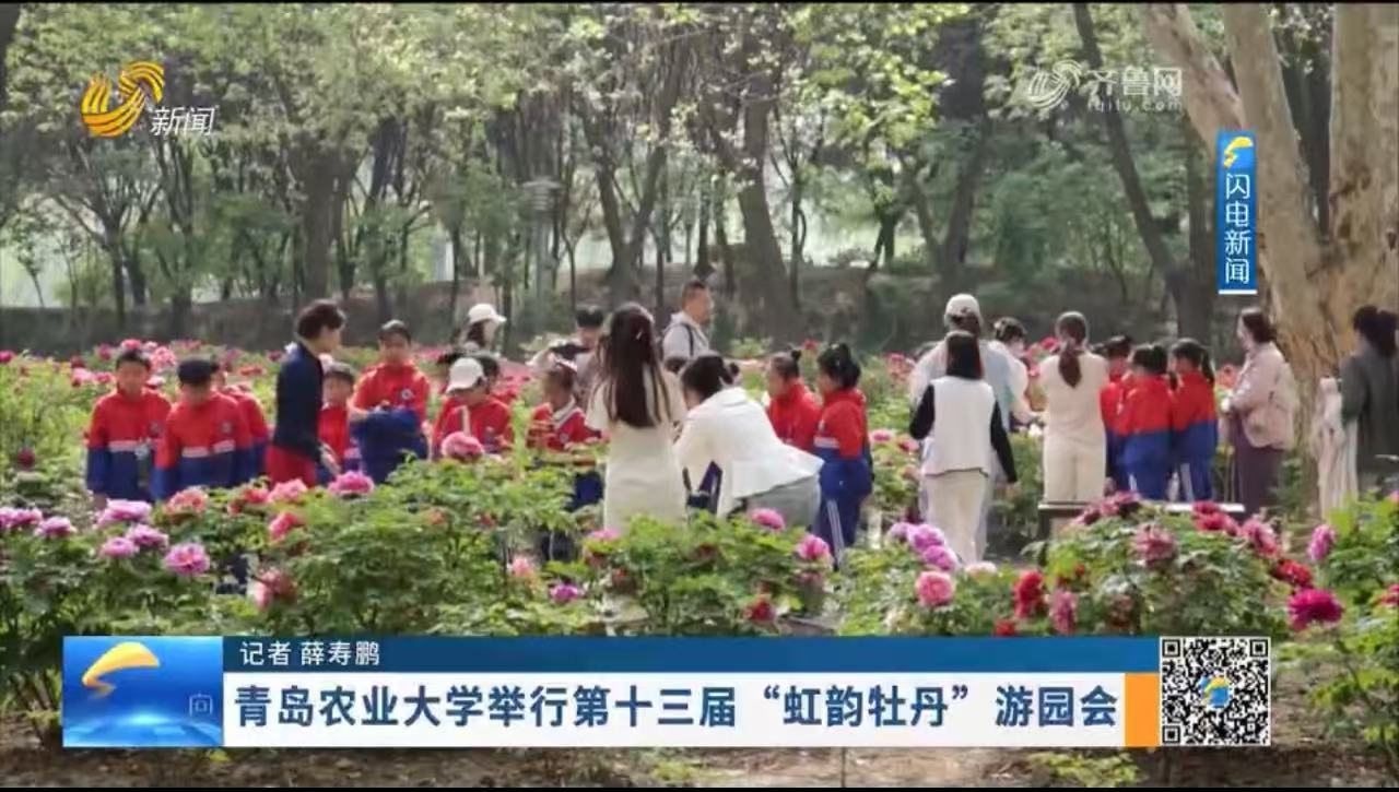 港澳管家婆论坛手机论坛