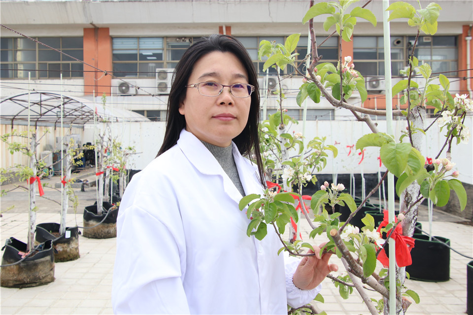 港澳管家婆论坛手机论坛