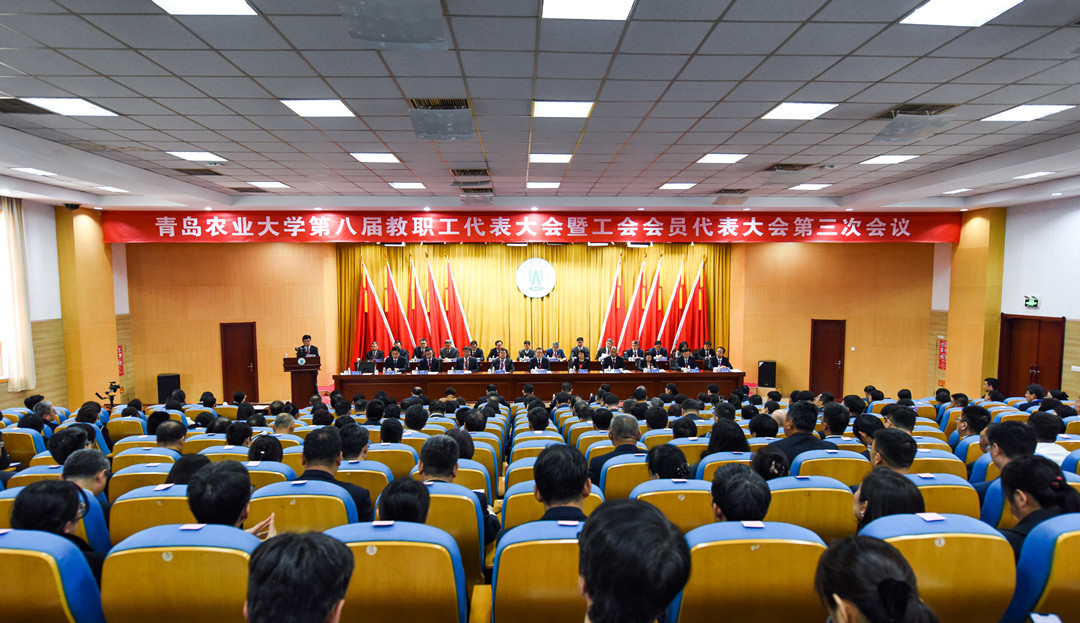 港澳管家婆论坛手机论坛