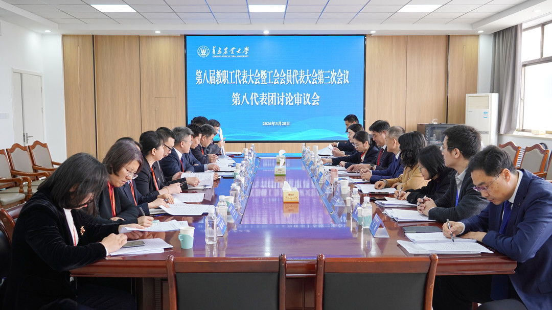 港澳管家婆论坛手机论坛