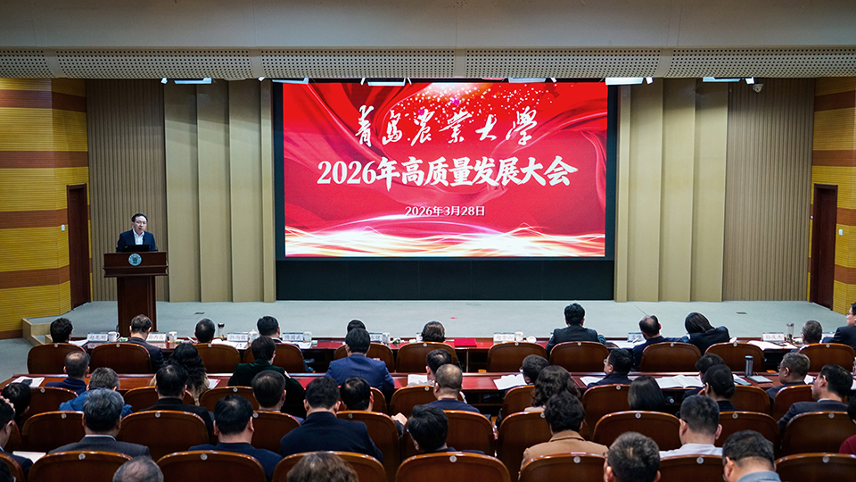 港澳管家婆论坛手机论坛