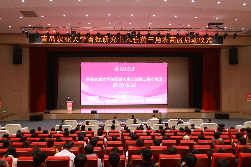 港澳管家婆论坛手机论坛