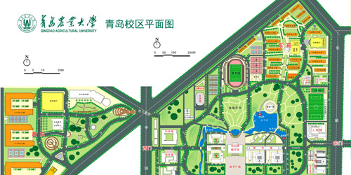 港澳管家婆论坛手机论坛
