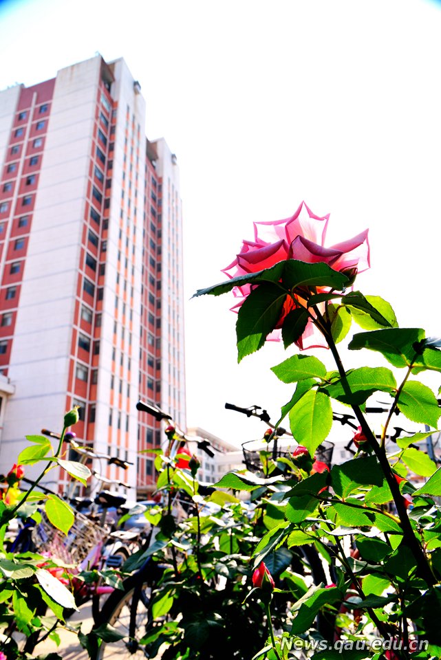 港澳管家婆论坛手机论坛