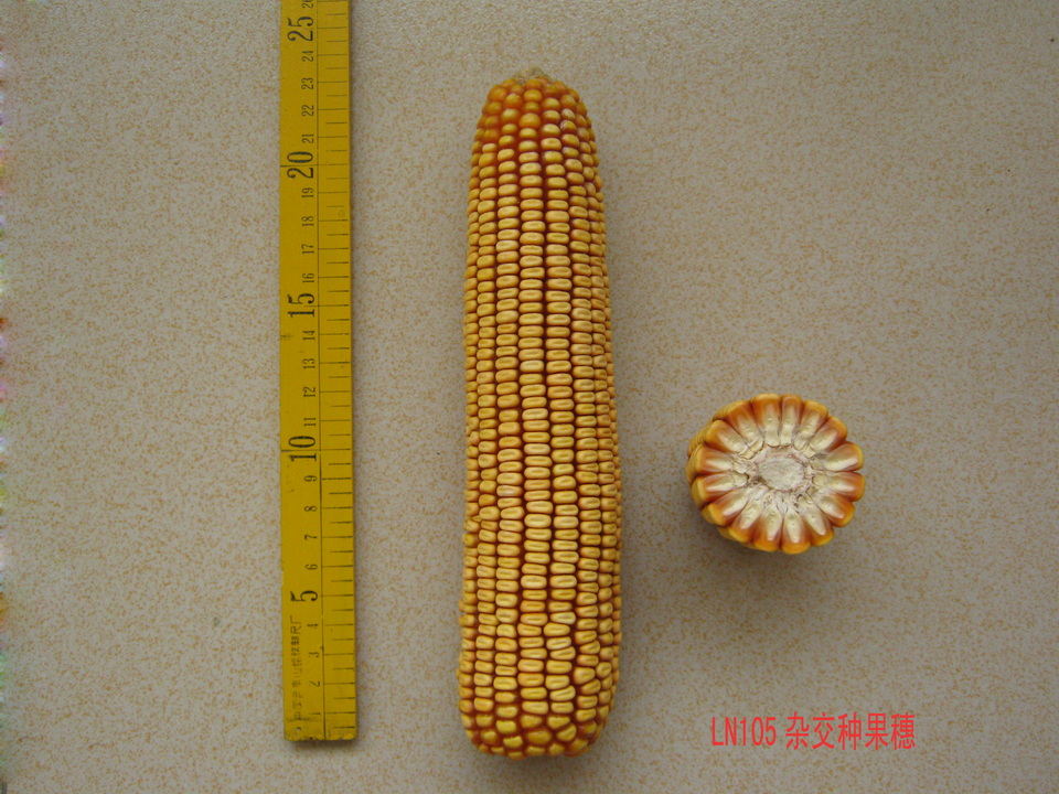 港澳管家婆论坛手机论坛