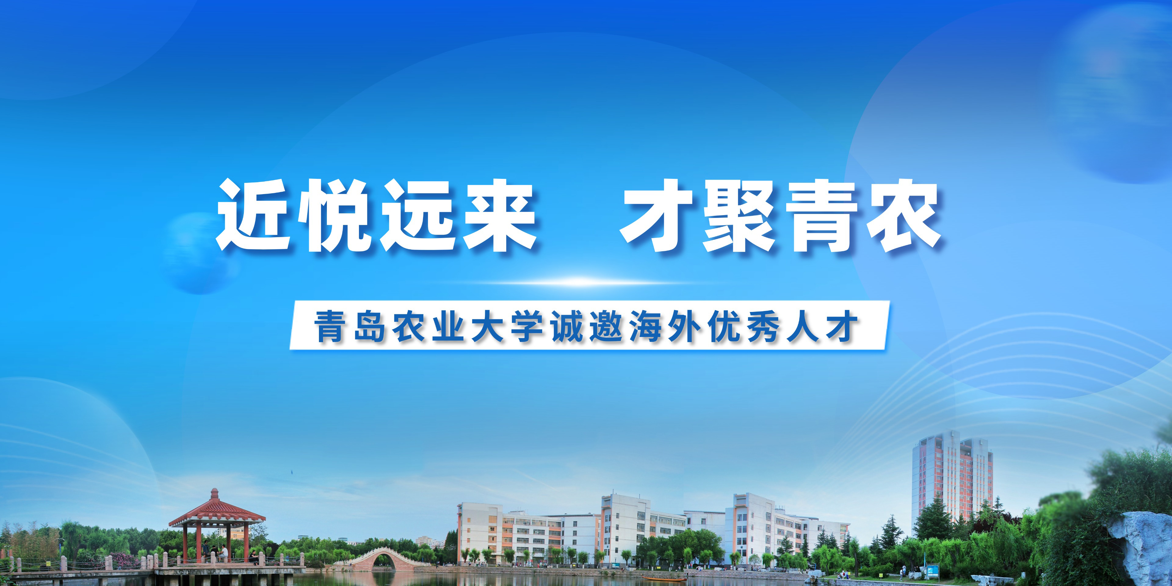 港澳管家婆论坛手机论坛