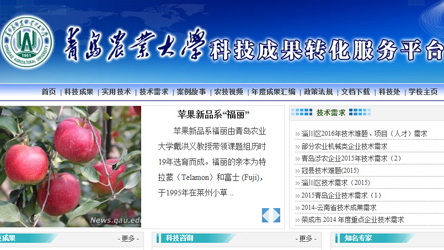 港澳管家婆论坛手机论坛