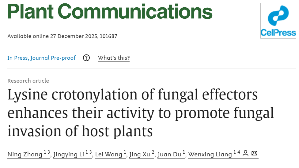港澳管家婆论坛手机论坛