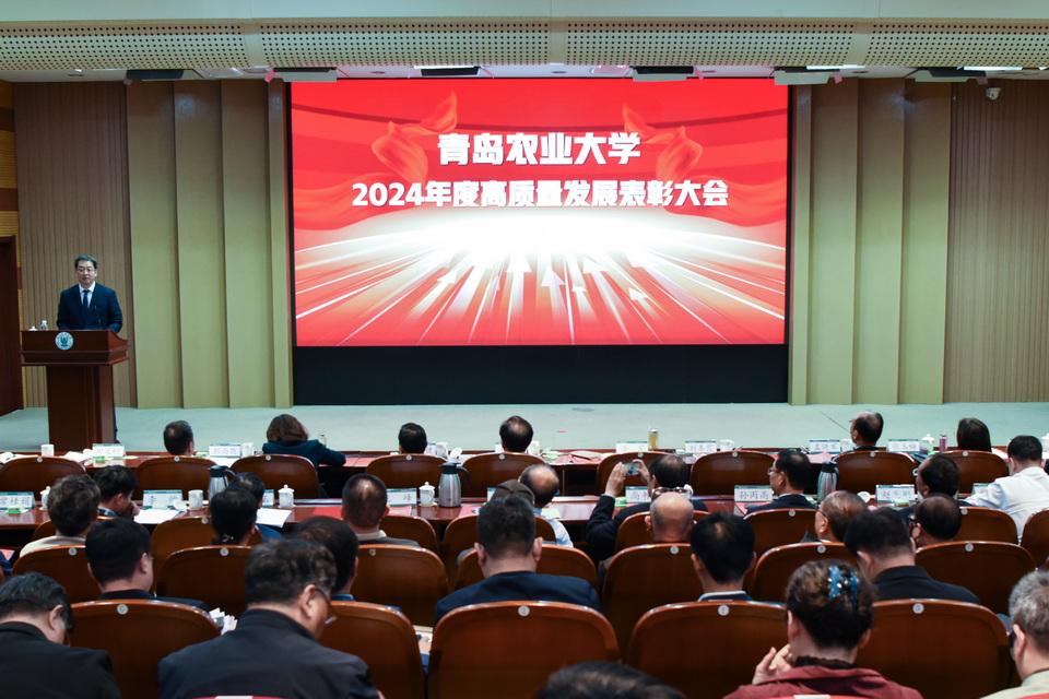 港澳管家婆论坛手机论坛